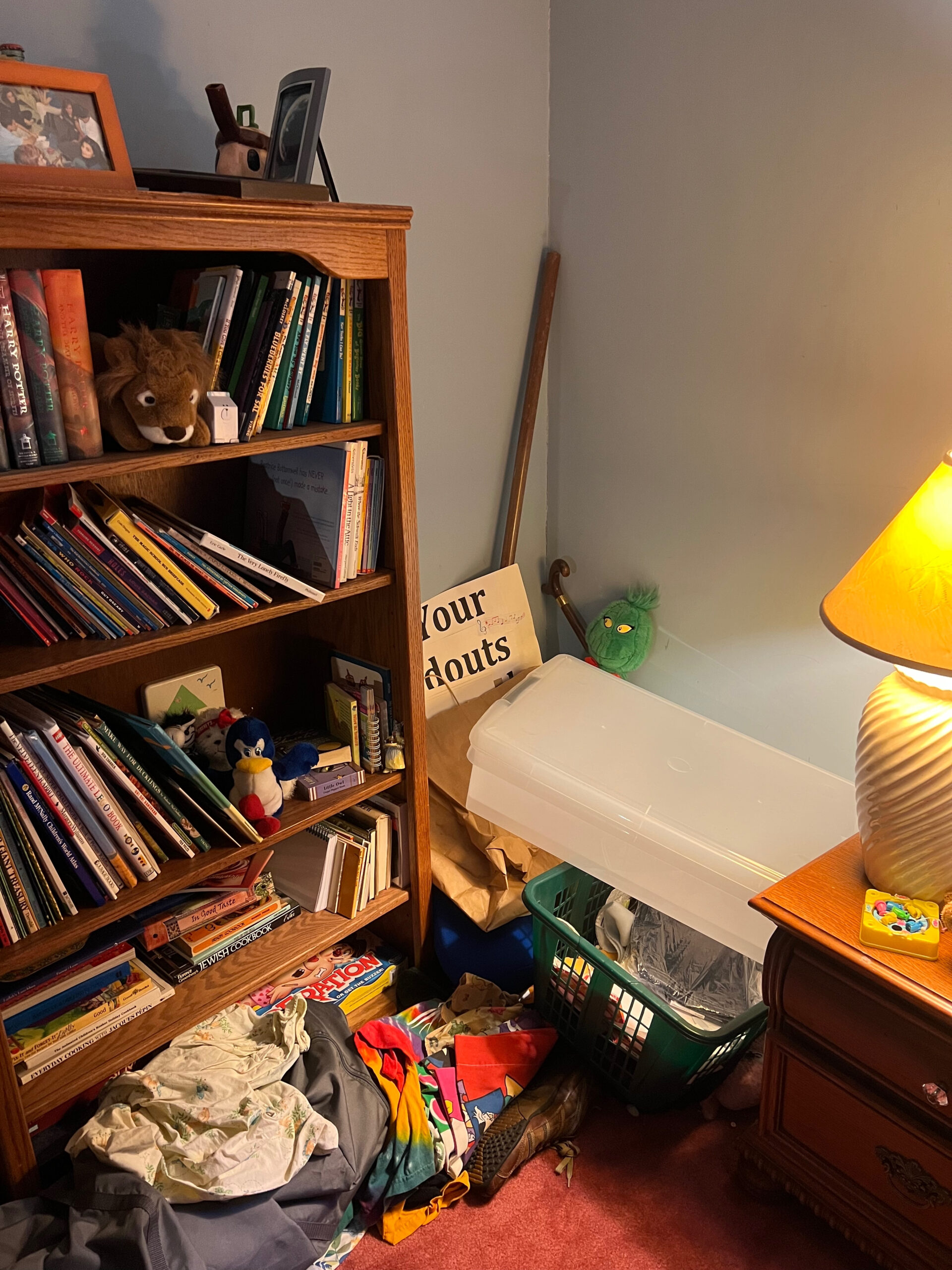 95f43c49-451a-4301-a1e2-94b1bc785cb3